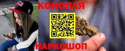 сатива Балаково