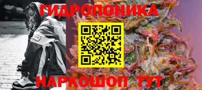 сатива Балаково