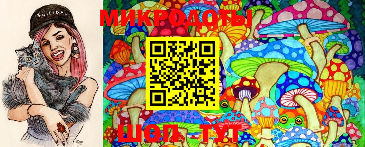 Псилоцибиновые грибы Cubensis Волгоград