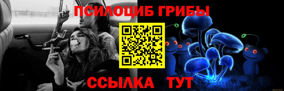 Волгоград  Галлюциногенные грибы Magic Shrooms  Вход с VPN 
